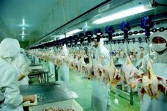 <b>出口南美、新加坡</b>