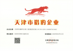 团化劣势为胜势、变潜力为实力